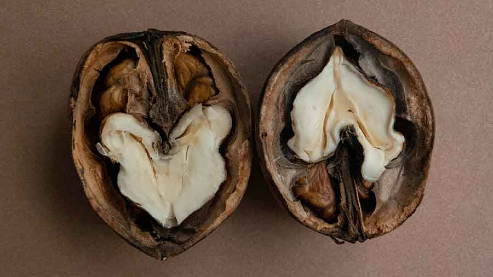 Brain Foods