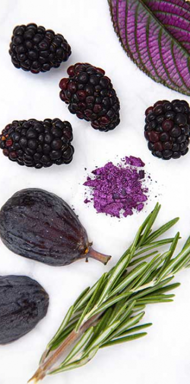 Nutrition Principles for Good Health - Berries