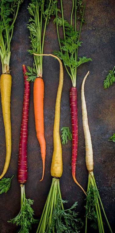 Nutrition, Health & Wellness Consultations