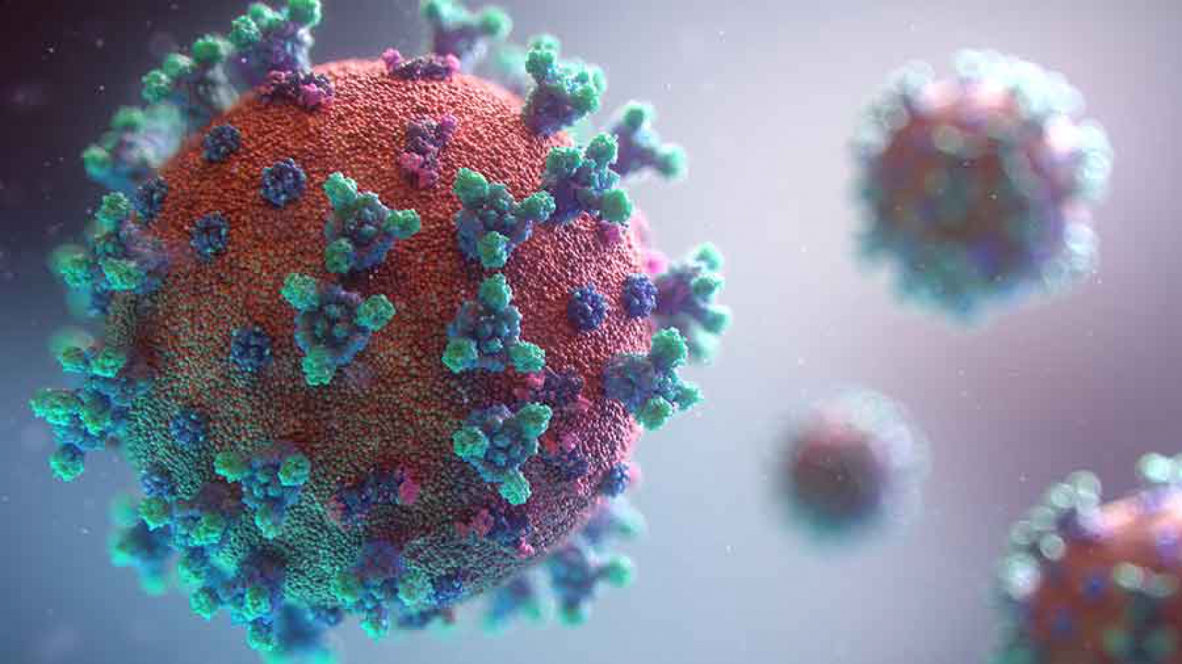 Coronavirus & Immune System