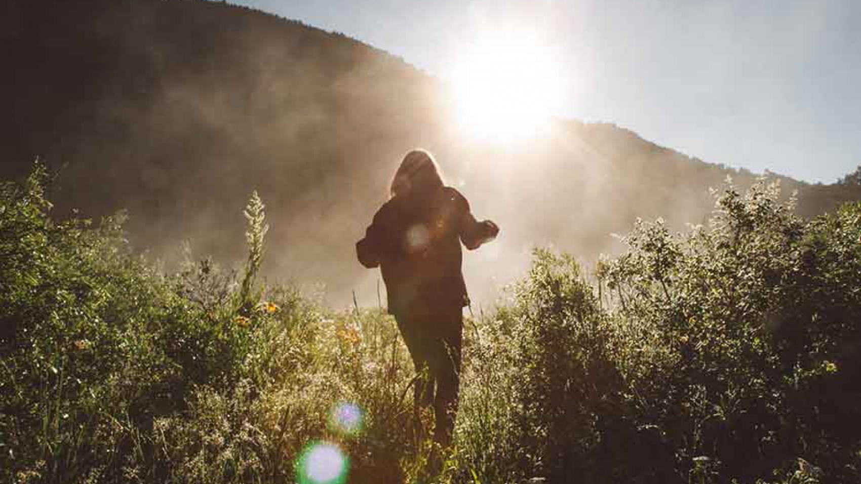 Vagus Nerve and Optimal Health