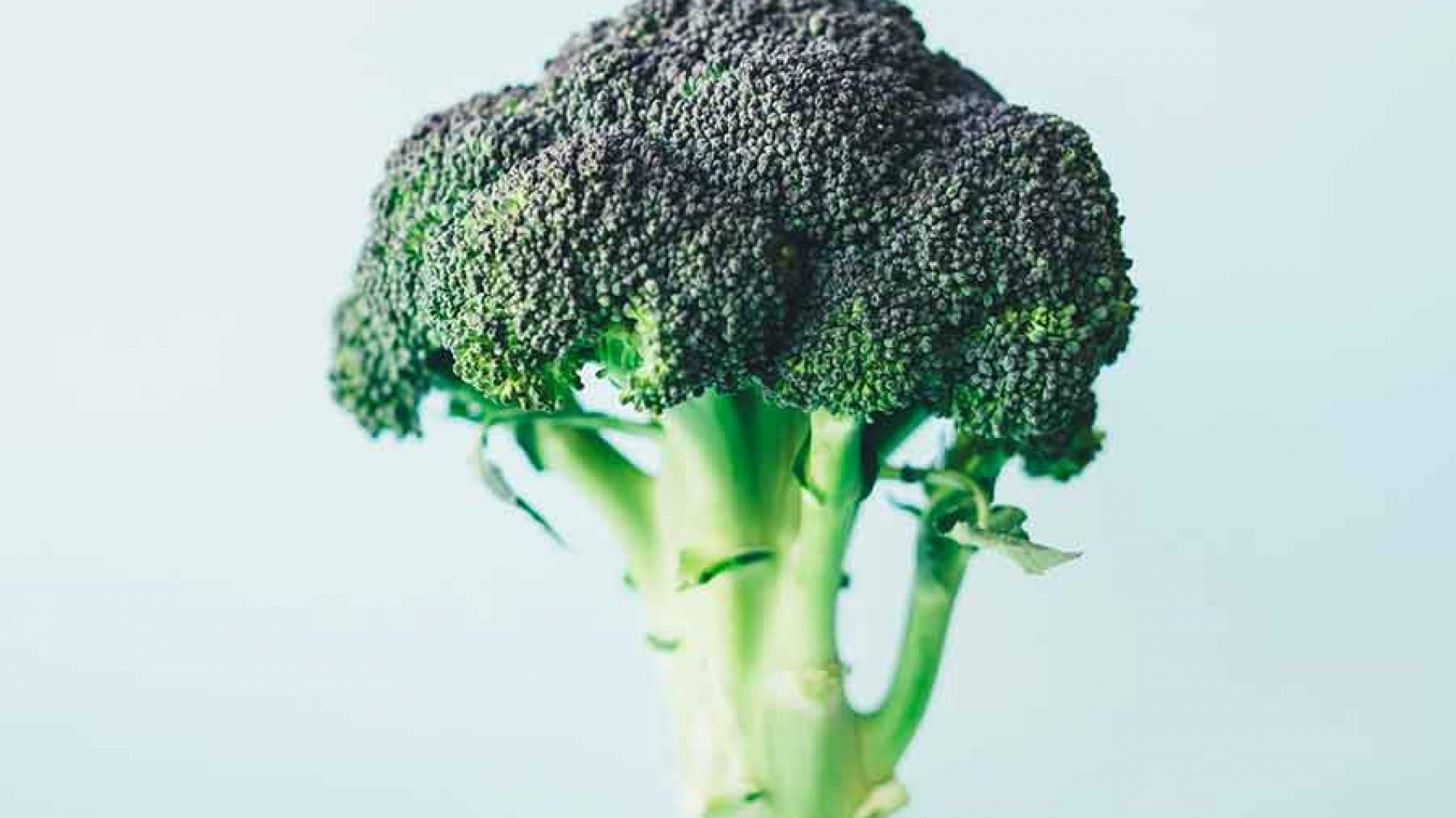 Cruciferous Vegetables and Air Pollution Effects